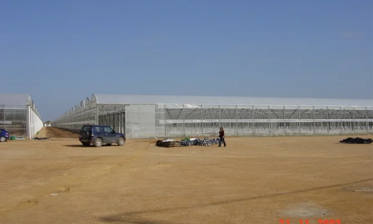 Теплицы, оросительные системы и оборудование пр-ва Испания - фото № 8