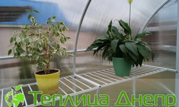 Теплицы разборные от производителя - фото № 2