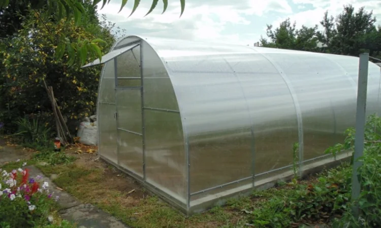Усиленные теплицы из поликарбоната и под пленку - фото № 1