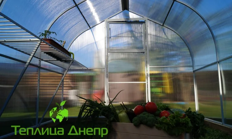 Двускатная теплица «Акцент» с поликарбонатом - фото № 4