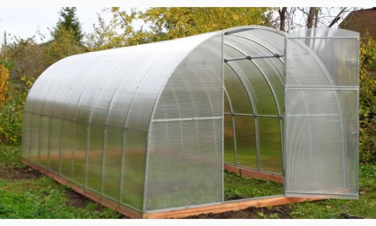 Теплицы - фото № 5