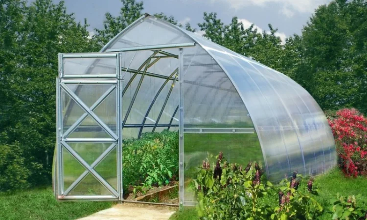 Теплицы - фото № 8