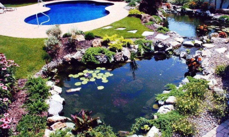 Пленки для прудов и теплиц - фото № 1