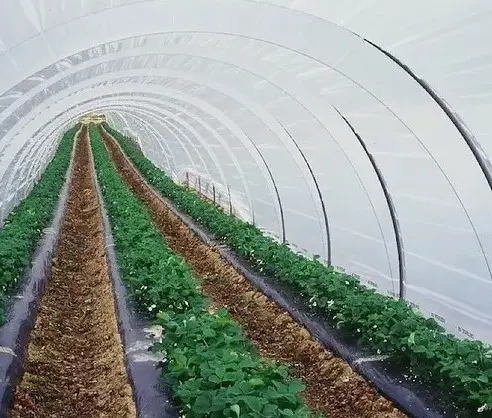 Плівка теплична турецька Vatan Plastik 150 мкм - фото № 1