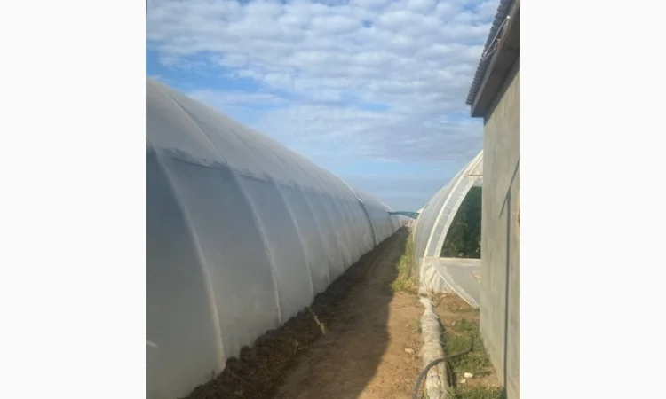 Багатошарова плівка теплична Ватан Пластік - фото № 1