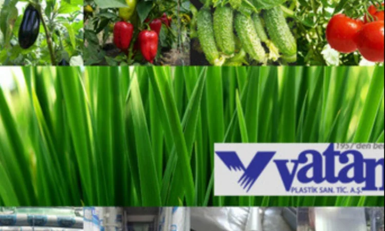 Купити теплична плівка Vatan Plastik, 40 мкм - фото № 1