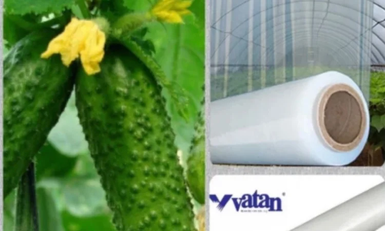 Купити тепличну плівку Vatan Plastik - фото № 1