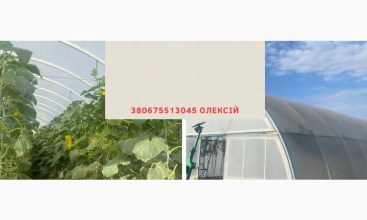 Теплична плівка 5-шарова Ватан Пластик - фото № 1