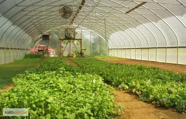 Вентиляторы для Теплиц - фото № 2