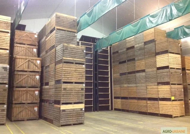 Хранилище чеснока - фото № 2