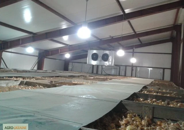 Хранилище чеснока - фото № 4