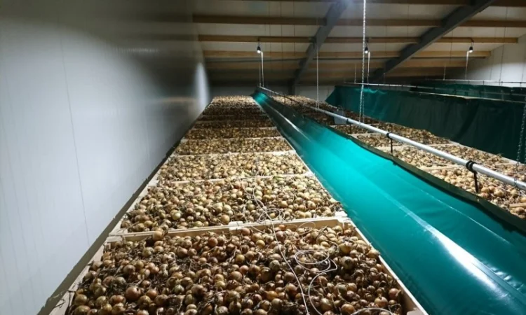 Хранилище чеснока - фото № 6