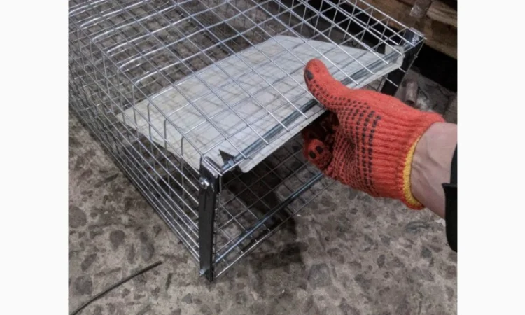 Живоловушка на кота. Метровая живоловка. Котоловка c педалью. Суперкотоловушка - фото № 2