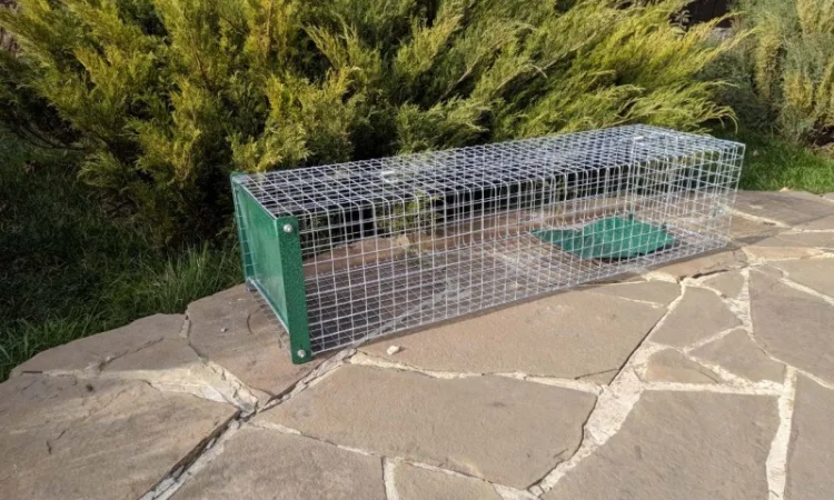 Живоловушка на кота. Метровая живоловка. Котоловка c педалью. Суперкотоловушка - фото № 3