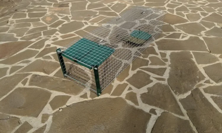 Живоловушка на кота. Метровая живоловка. Котоловка c педалью. Суперкотоловушка - фото № 4