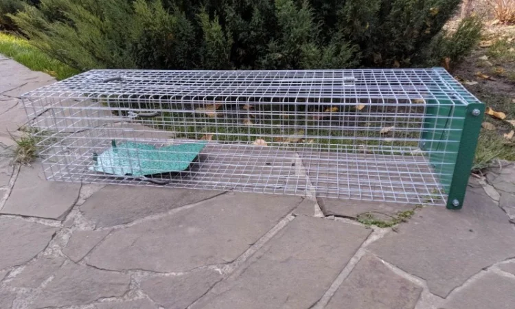 Живоловушка на кота. Метровая живоловка. Котоловка c педалью. Суперкотоловушка - фото № 5