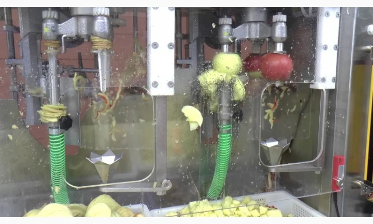 Машина для очистки, нарезания, удаления сердцевины яблок 300-500 кг/час - фото № 1