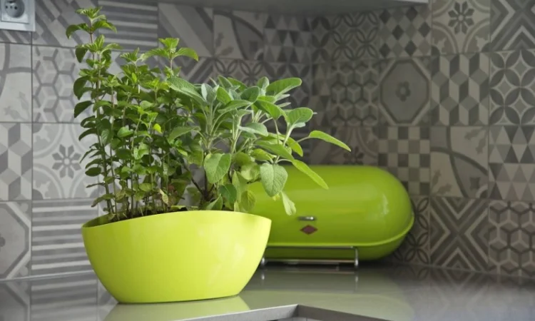 Горшки для цветов, Кашпо. Балконные ящики, Горшки для орхидей - фото № 4