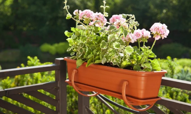 Горшки для цветов, Кашпо. Балконные ящики, Горшки для орхидей - фото № 5