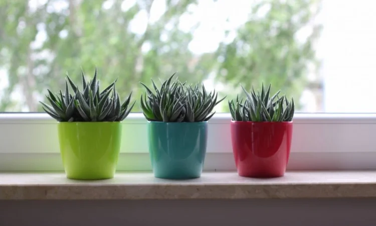 Горшки для цветов, Кашпо. Балконные ящики, Горшки для орхидей - фото № 6