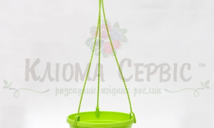 ПІДВІСНІ ГОРЩИКИ ДЛЯ ВАЗОНІВ ТА КВІТІВ (виробництво: Польща та Україна) - фото № 5