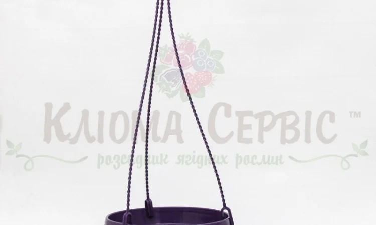 ПІДВІСНІ ГОРЩИКИ ДЛЯ ВАЗОНІВ ТА КВІТІВ (виробництво: Польща та Україна) - фото № 7