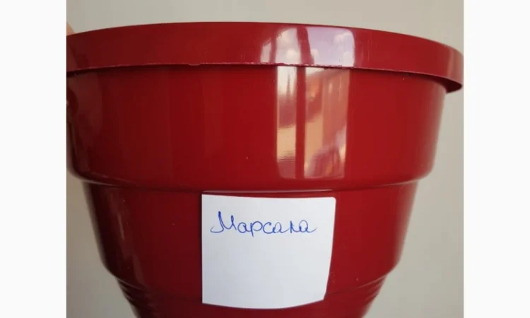 Підвісні горщики для Квітів. Вироб-во Україна. LotPlast - фото № 2