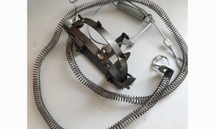 Капкани на кабана - фото № 1