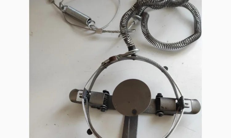 Капкани на кабана - фото № 2