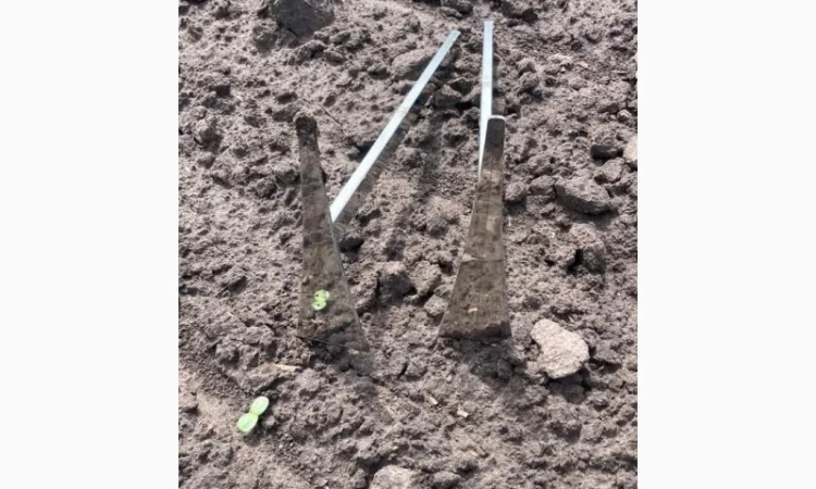 Лопатка для агронома - фото № 3