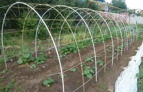 ДЛЯ ПОМИДОР Арматура, 8 диаметр бухта 50 метров стоит 546гр - фото № 2