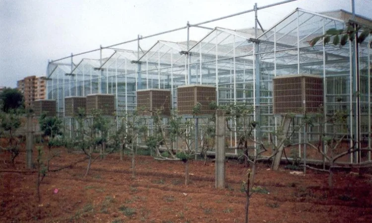 Охлаждение воздуха для ферм, теплиц и производственных помещений - фото № 1