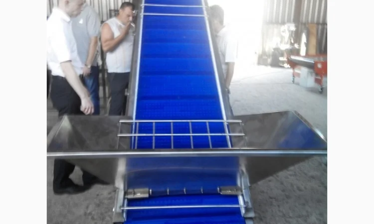 Конвейер из нержавеющей стали для ягод - фото № 2