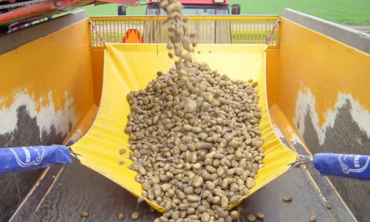 Гаситель падіння овочів для причепів - фото № 1