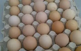 Продам інкубаційне яйце кобб 500 - фото № 1