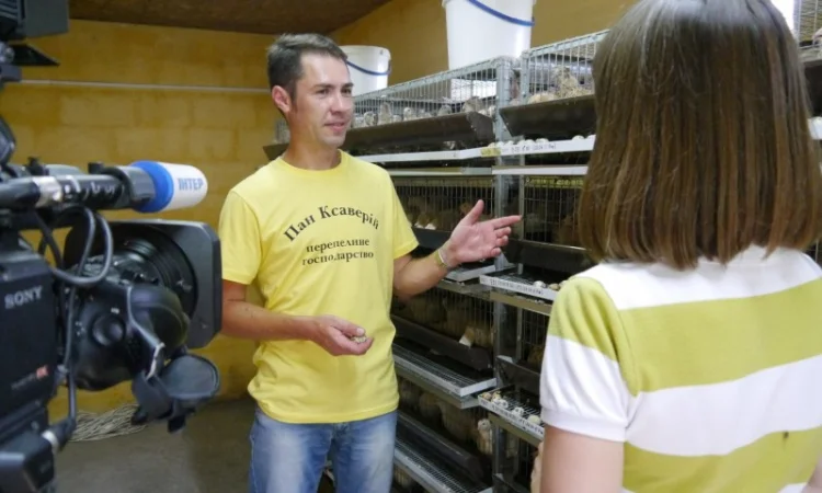 Продам інкубаційні перепелині яйця - фото № 4