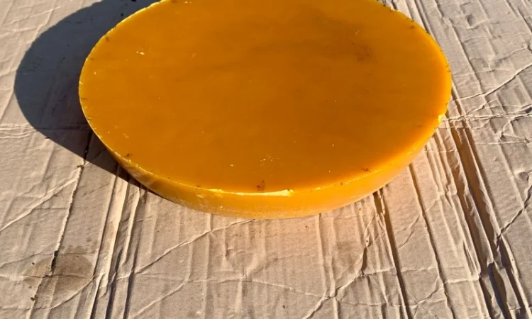 Продам бджолиний віск високої якості - фото № 3