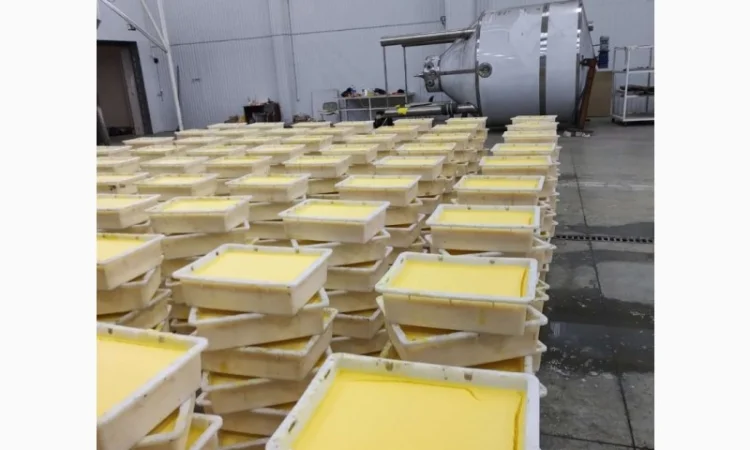 Віск бджолиний очищений — шматковий та гранули - фото № 3