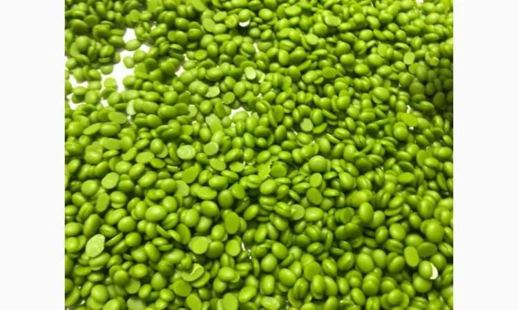 Віск бджолиний очищений — шматковий та гранули - фото № 5