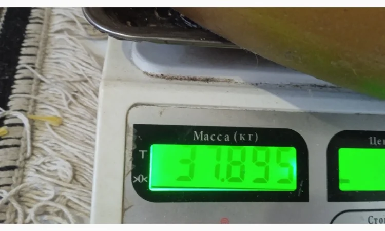 Продаю віск — 260 грн - фото № 2