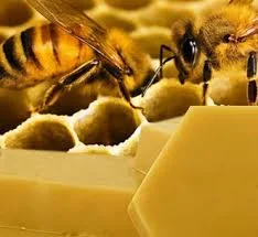 Продам ВОЩИНУ высшего сорта (обмен на воск, пыльцу, прополис, мерву) - фото № 1