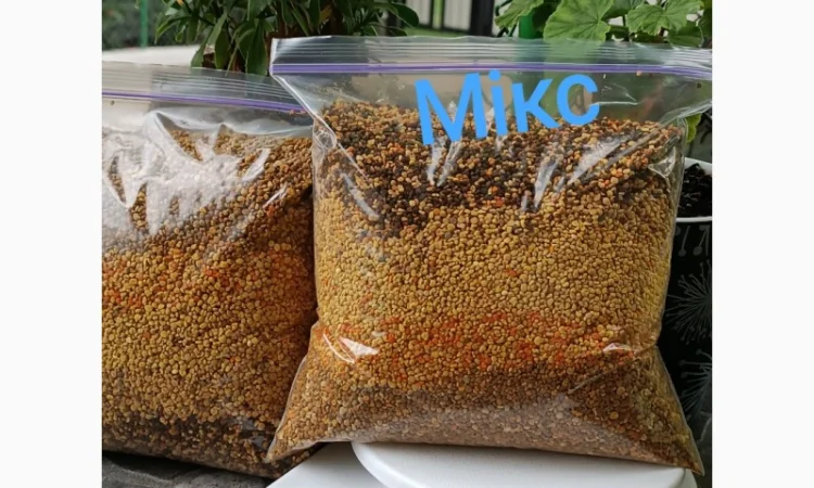 Продается цветочный пилок 2025 года – 350 грн/кг - фото № 6