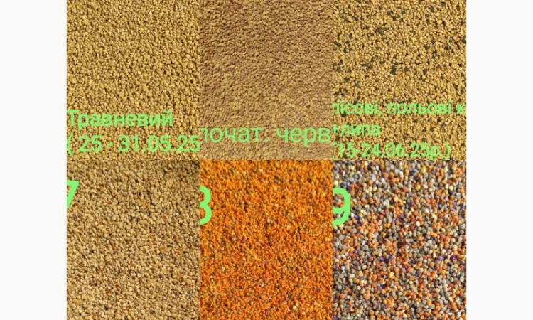 Продается цветочный пилок 2025 года – 350 грн/кг - фото № 7
