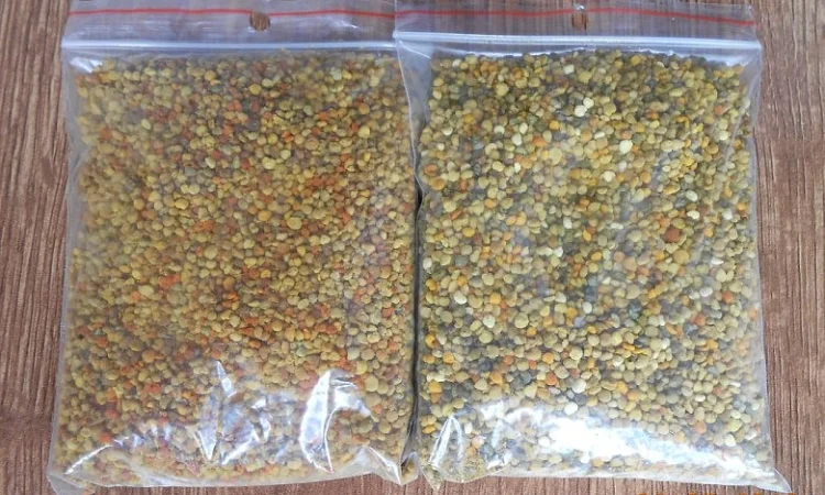 Пилок квітковий натуральний - фото № 1