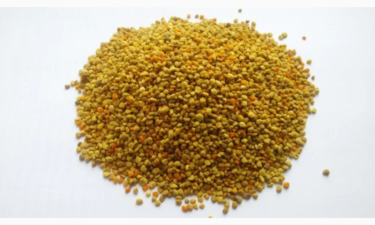 Продам квітковий пилок - фото № 1