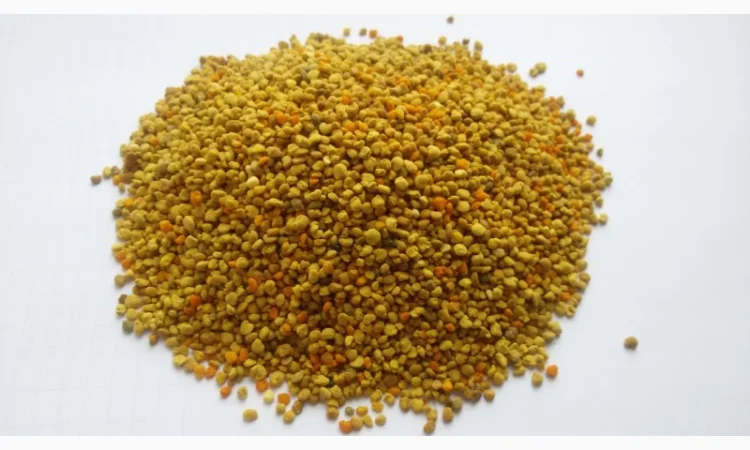 Пыльца цветочная — продажа - фото № 1