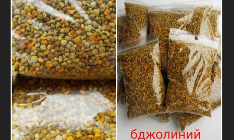 Пилок квітковий з власної пасіки - фото № 1