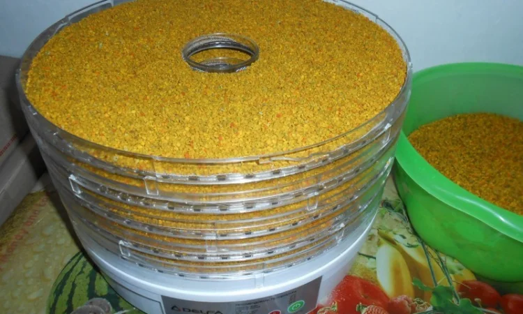 Квітковий пилок / бджолина обножка / пыльца - фото № 1