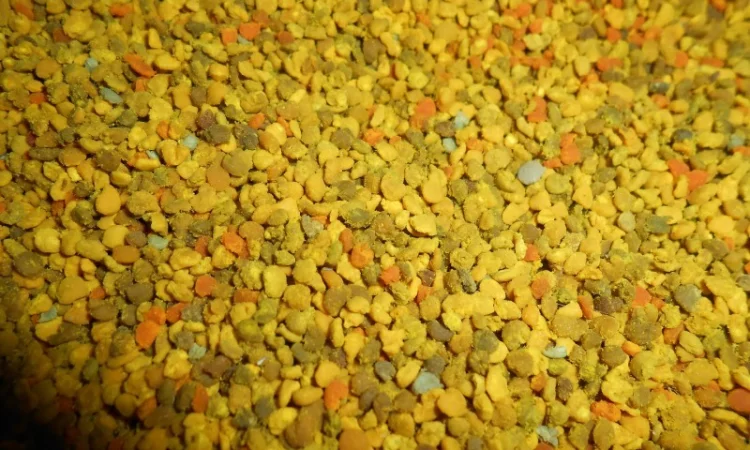 Квітковий пилок / бджолина обножка / пыльца - фото № 3