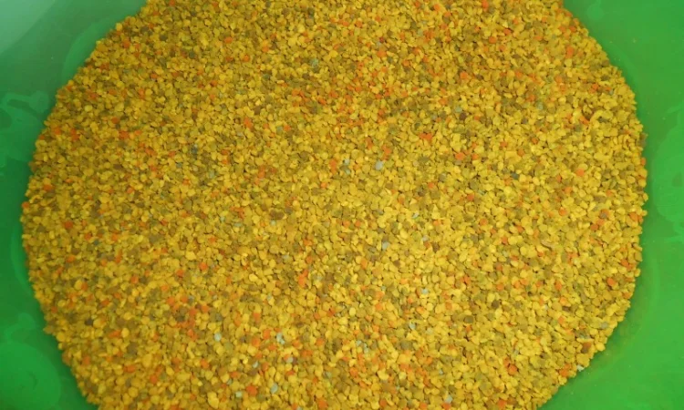 Квітковий пилок / бджолина обножка / пыльца - фото № 2